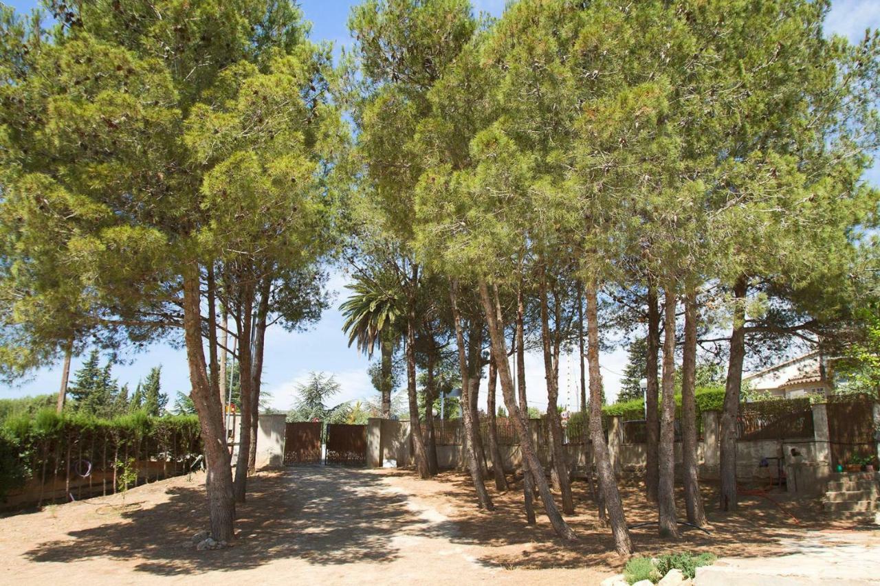 アルコベル Menta House Preciosa Eco-Casa Con Gran Jardin Y Barbacoaヴィラ エクステリア 写真